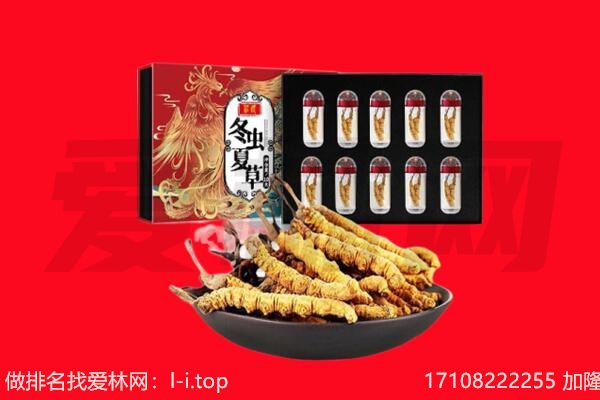 乌鲁木齐达坂城区回收虫草.jpg